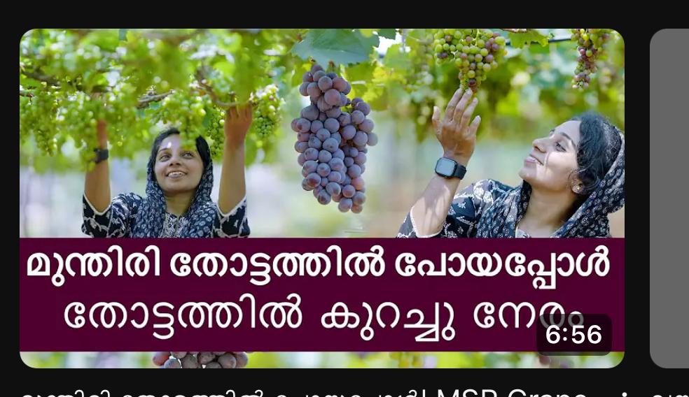 best most Travel Vloger In Kerala